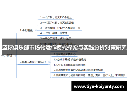 篮球俱乐部市场化运作模式探索与实践分析对策研究 篮球俱乐部市场化运作模式探索与实践分析对策研究