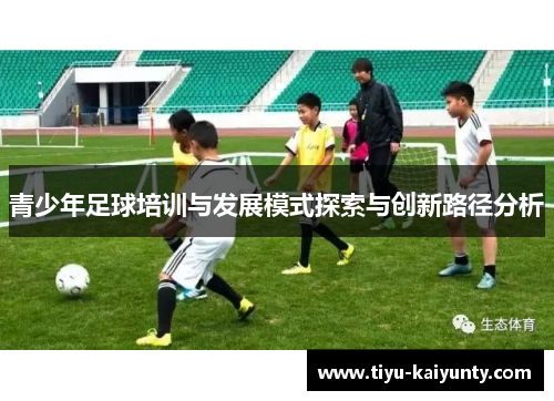 青少年足球培训与发展模式探索与创新路径分析