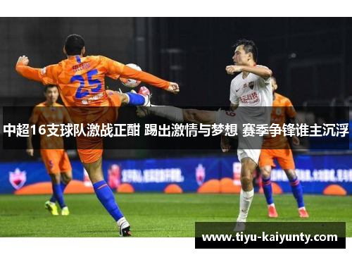 中超16支球队激战正酣 踢出激情与梦想 赛季争锋谁主沉浮 中超16支球队激战正酣 踢出激情与梦想 赛季争锋谁主沉浮