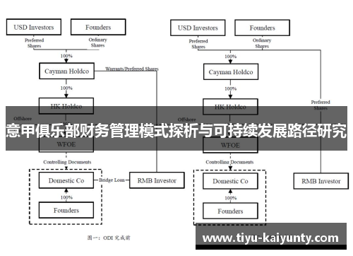 意甲俱乐部财务管理模式探析与可持续发展路径研究 意甲俱乐部财务管理模式探析与可持续发展路径研究
