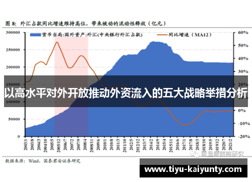 以高水平对外开放推动外资流入的五大战略举措分析 以高水平对外开放推动外资流入的五大战略举措分析
