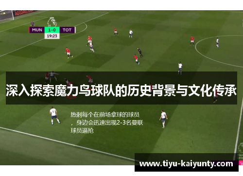 深入探索魔力鸟球队的历史背景与文化传承