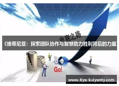 《维蒂尼亚：探索团队协作与智慧助力胜利背后的力量》